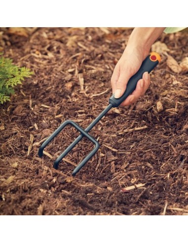 Ergo väike kobesti UUS!