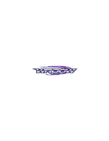 WROOW Mini Racers kiire väike auto WROOW Mini Racers kiire väike auto
