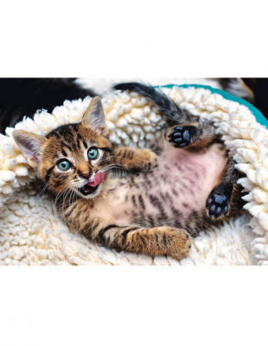 TREFL Pusle Kassipoeg, 1000 osa