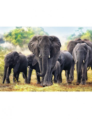 TREFL Pusle Elevandid, 1000 osa