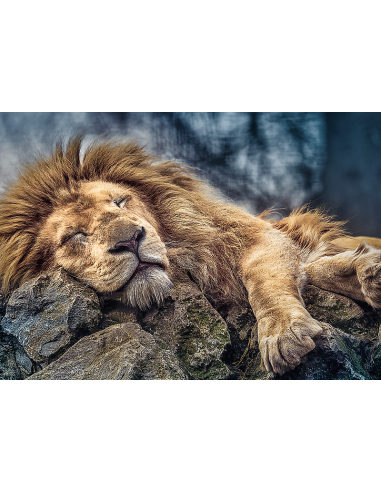 TREFL Pusle Lõvi, 1000 osa