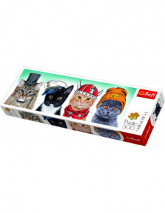 29504T 5900511295047 2