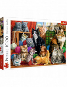 10555T 5900511105551