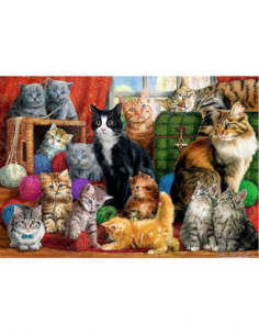 10555T 5900511105551 2