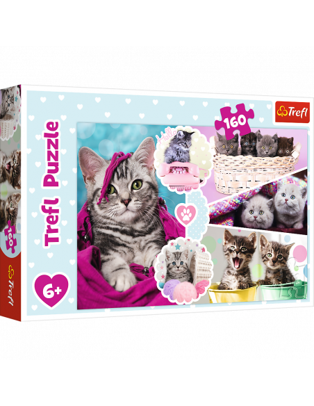 15371T 5900511153712 15371T 5900511153712