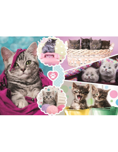 TREFL Pusle Kassipojad, 160 osa TREFL Pusle Kassipojad, 160 osa