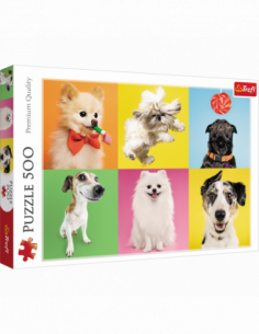 37378T 5900511373783