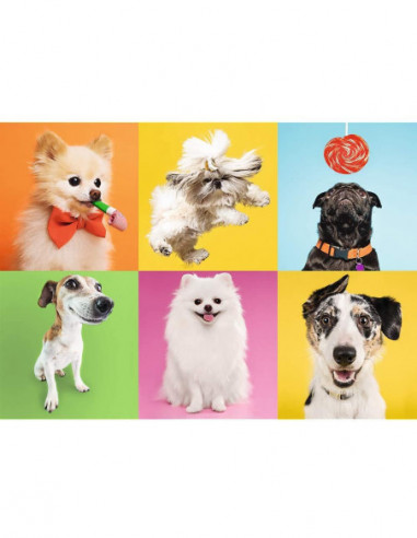 TREFL Pusle Koerad, 500 osa