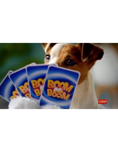 TREFL PAW PATROL BoomBoom lauamäng...