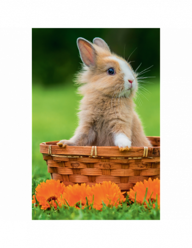 TREFL Mini 54 pusle Armsad loomad