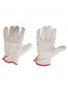 Kitse pealisnahast...