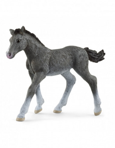SCHLEICH HORSE CLUB Trakehner Foal SCHLEICH HORSE CLUB Trakehner Foal