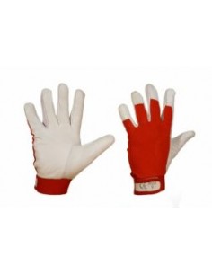 Lambanahk sõrmkinnas...