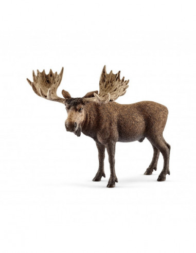 SCHLEICH WILD LIFE Põdrapull SCHLEICH WILD LIFE Põdrapull