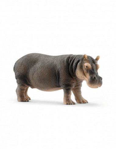 SCHLEICH WILD LIFE Jõehobu SCHLEICH WILD LIFE Jõehobu