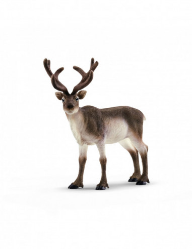 SCHLEICH WILD LIFE Põhjapõder