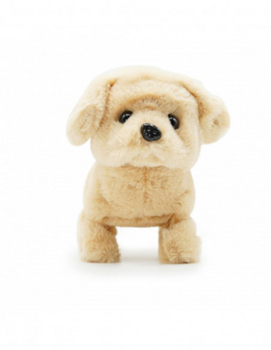 PUGS AT PLAY Kõndiv koer Goldie