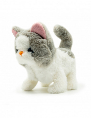 PUGS AT PLAY Kõndiv kass Sasha