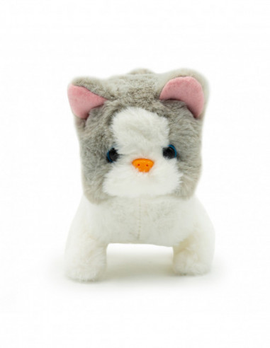 PUGS AT PLAY Kõndiv kass Sasha