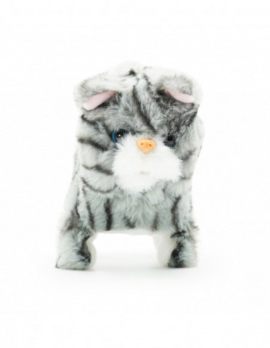 PUGS AT PLAY Kõndiv kass Zoe