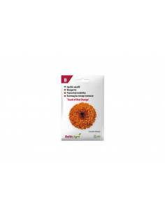 F.TOUCHREDORANGE.60