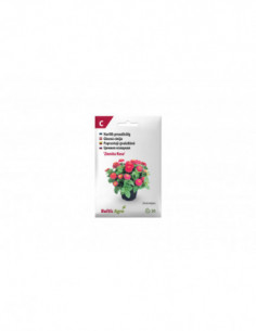 F.ZINNITAROSE.20 4744360018973