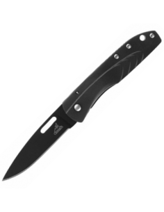 31-000716 SV STL 2.5 taskunuga