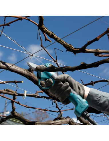 Oksakäärid LXT 18V DUP180Z ilma aku...