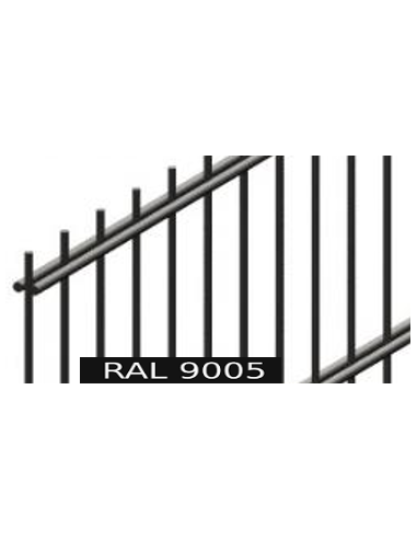 RAL9005 2D 1030