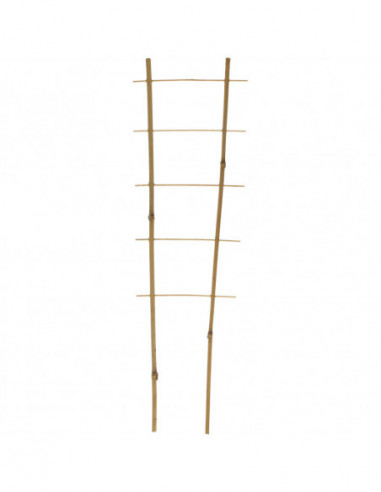 BalticAgro LADDER.BAMBOO2X5X60 5907633203745