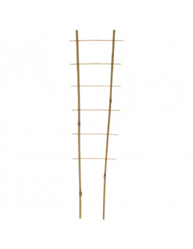 BalticAgro LADDER.BAMBOO2X6X150 5907633204162