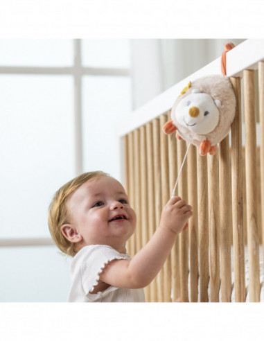 NATTOU Muusikaline siil Zoë, 20 cm