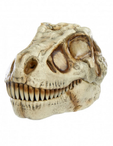 GrossMos interaktiivne mängukomplekt...