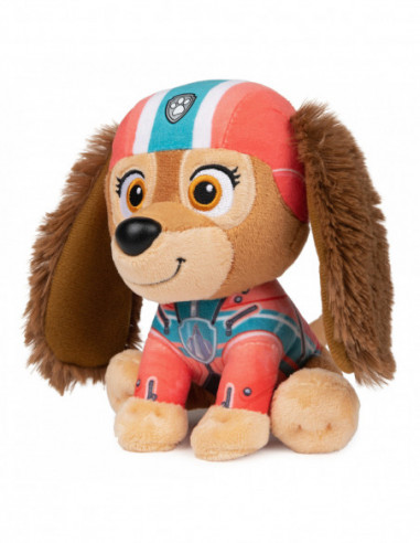 PAW PATROL 6062169