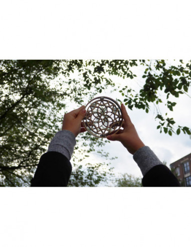 RECENT TOYS loogikamäng Flower Maze