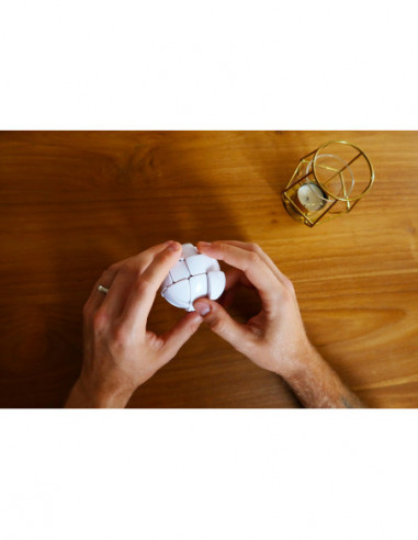 RECENT TOYS Loogikamäng Morph’s Egg RECENT TOYS Loogikamäng Morph’s Egg