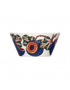 1070938 6411923681636 IITTALA