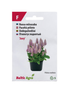 BalticAgro F.JOEY 4744360012209