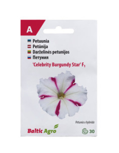 BalticAgro F.CELEBBURGUNDYSTAR 4744360012223