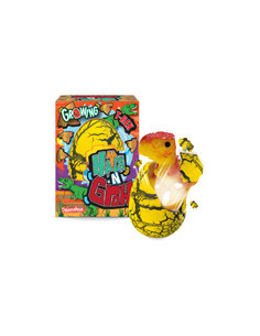 51309D 5055727551309 Pocket Money
