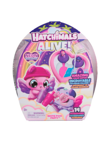 6072786  Interactive