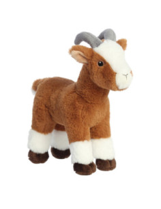 210052A 5034566350526 AURORA