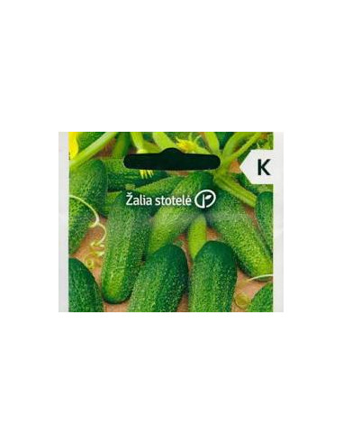 CUCUMBERDIRIGENT.10
