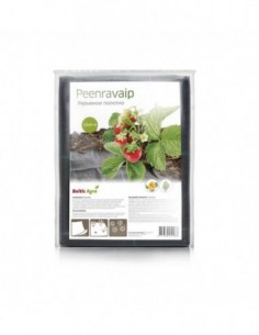 Peenravaip 2