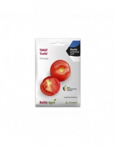 Tomat Evelle 25s